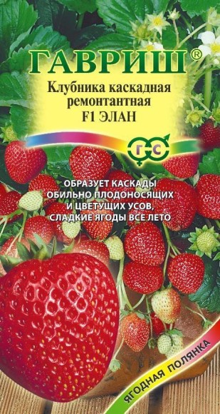 Земляника (клубника) Элан F1 (ГАВРИШ) 5шт ампельный ремонтантный Земляника (клубника) Элан F1 (ГАВРИШ) 5шт ампельный ремонтантный
