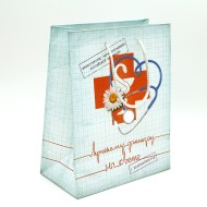 Сумочка пакет картон 180*227*100мм Лучшему доктору на свете Арт-818539 MS