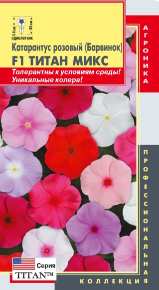 Цветы Катарантус Розовый (Барвинок) F1 Титан Микс ЦВ/П (ПЛАЗМА) 4шт однолетник 35см