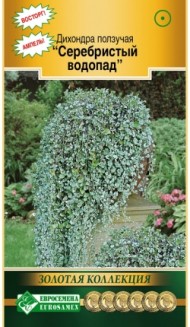Цветы Дихондра Серебристый Водопад ЦВ/П (ЕС) 3шт однолетник до 1,5м