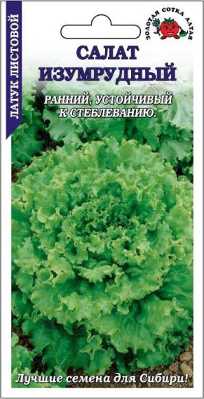 Салат Изумрудный ЦВ/П (СОТКА) 0,5гр раннеспелый листовой