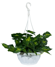 Горшок Ирис подвесной 3,7лит Белый + Крючок