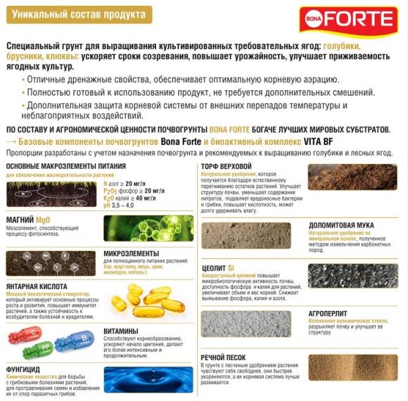 Грунт Голубика и Лесные ягоды 20лит (1уп/1шт) БОНА ФОРТЕ Грунт Голубика и Лесные ягоды 20лит (1уп/1шт) БОНА ФОРТЕ