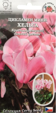 Цветы Цикламен Мини Хельга ЦВ/П (СОТКА) 3шт комнатное 15-30см Цветы Цикламен Мини Хельга ЦВ/П (СОТКА) 3шт комнатное 15-30см