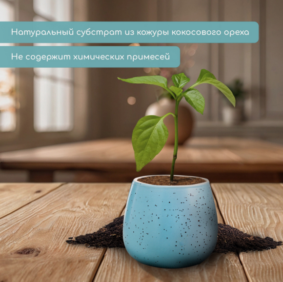 Кокосовые Таблетки 60мм Набор 5шт Кокосовые Таблетки 60мм Набор 5шт