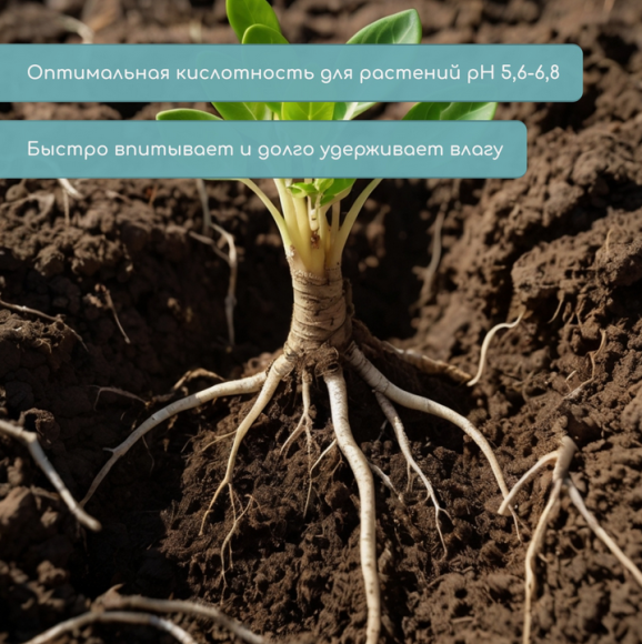 Кокосовые Таблетки 60мм Набор 5шт Кокосовые Таблетки 60мм Набор 5шт