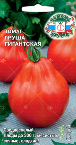 Томат Груша Гигантская ЦВ/П (СЕДЕК) 0,1гр среднеспелый 1,5-1,8м Томат Груша Гигантская ЦВ/П (СЕДЕК) 0,1гр среднеспелый 1,5-1,8м