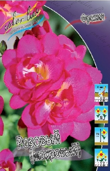 Фрезия махровая Розовая (1уп/10шт)