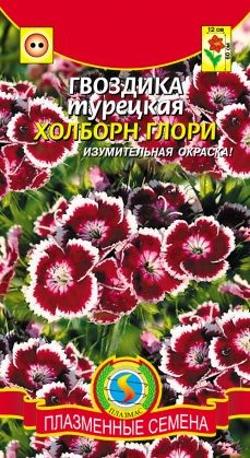 Цветы Гвоздика турецкая Холборн Глори ЦВ\П (ПЛАЗМА) 0,2гр двулетник до 60см