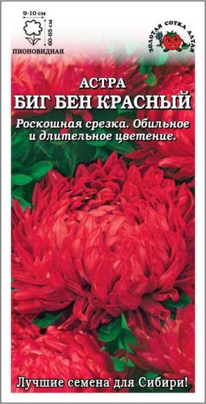 Цветы Астра Биг Бен Красная ЦВ/П (СОТКА) 0,2гр однолетник до 65см Цветы Астра Биг Бен Красная ЦВ/П (СОТКА) 0,2гр однолетник до 65см