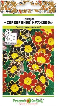 Цветы Примула Серебряное кружево F1 ЦВ/П (НК) 5шт многолетник 35см