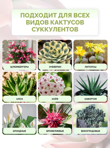 Удобрение Фитогормоны Кактусы Суккуленты 10шт*35мл FUJIMA OR-1518