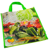 Сумка Дачная мозаика с каплями Арт-CXWB-11480 (33*36см)