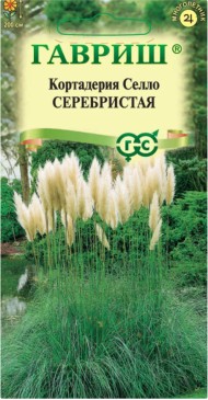 Цветы Кортадерия Серебристая (Пампасная трава) ЦВ/П (ГАВРИШ) 8шт многолетник до 2м