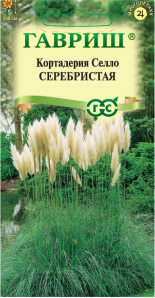 Цветы Кортадерия Серебристая (Пампасная трава) ЦВ/П (ГАВРИШ) 8шт многолетник до 2м Цветы Кортадерия Серебристая (Пампасная трава) ЦВ/П (ГАВРИШ) 8шт многолетник до 2м