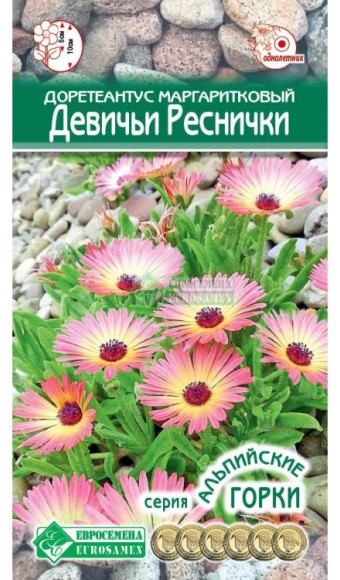 Цветы Доротеантус Девичьи реснички ЦВ/П (ЕС) 0,1гр Мезембриантемум однолетник 10см