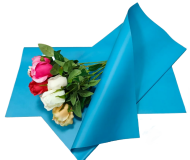 Пленка Листами Матовая однотонная Тёмно-Бирюзовая 58/58см (1уп/10шт) Цена за лист