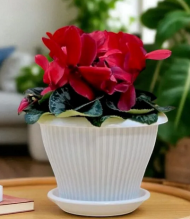 Горшок Гамма Плюс 4,2лит D-25см Белый с поддоном