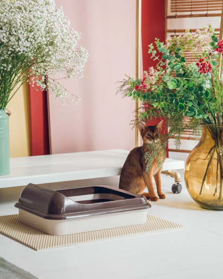 Туалет-лоток Верный друг Слоновая Кость с Решеткой М-6415