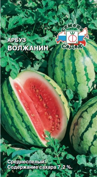 Арбуз Волжанин ЦВ/П (СЕДЕК) 1гр среднеспелый Арбуз Волжанин ЦВ/П (СЕДЕК) 1гр среднеспелый