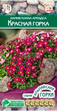 Цветы Камнеломка Арендса Красная горка ЦВ/П (ЕС) 10шт многолетник 10-15см