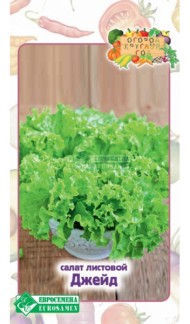 Салат Джейд ЦВ/П (ЕС) 15шт среднеспелый листовой комнатный Салат Джейд ЦВ/П (ЕС) 15шт среднеспелый листовой комнатный