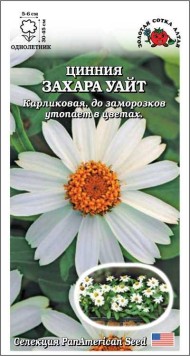 Цветы Цинния Захара Уайт ЦВ/П (СОТКА) 5шт однолетник 30-45см