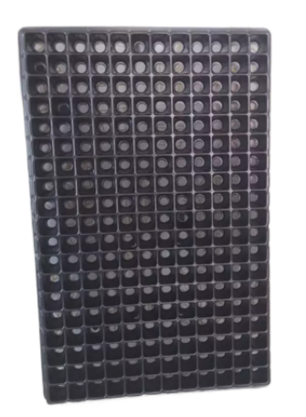 Палета для рассады 160 ячеек 30мл 600*400мм