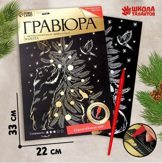 Гравюра Новогодняя А-4 22*33см Арт-4963441/442