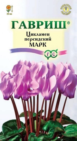 Цветы Цикламен Марк ЦВ/П (ГАВРИШ) 3шт комнатное