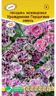 Цветы Гвоздика межвидовая Урожденная Герцогиня Смесь ЦВ/П (ЕС) 0,05гр однолетник 50см