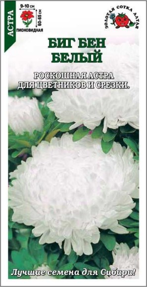 Цветы Астра Биг Бен Белая ЦВ/П (СОТКА) 0,2гр однолетник до 65см