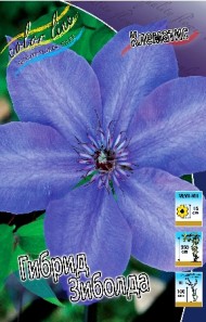 Клематис Гибрид Зиболда (1уп/2шт)