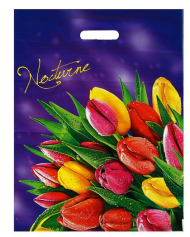 Сумочка пакет п/э 400*500мм Ноктюрн Арт-4879