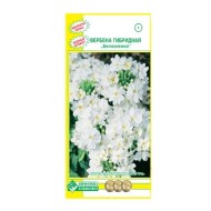 Цветы Вербена Белоснежка ЦВ/П (ЕС) 20шт однолетник 20см
