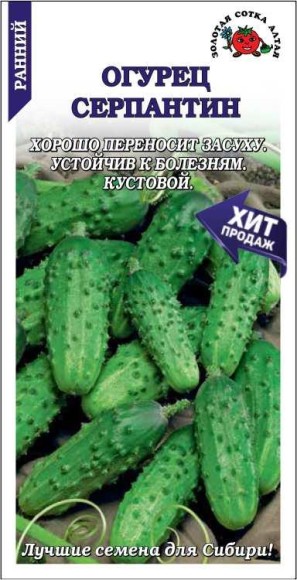 Огурец Серпантин ЦВ/П (СОТКА) 0,5гр раннеспелый