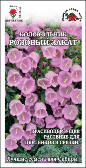 Цветы Колокольчик Розовый Закат ЦВ/П (СОТКА) 0,1гр двулетник 60-80см