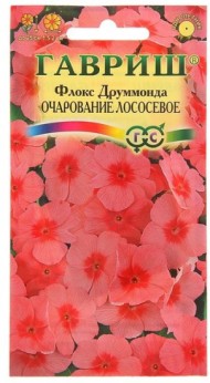 Цветы Флокс Очарование Лососевое друмонди ЦВ/П (ГАВРИШ) 0,05гр однолетник 25см