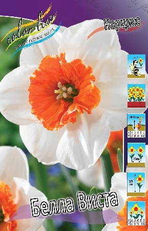 Нарциссы Белла Виста 12*14 (1уп/5шт)