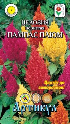 Цветы Целозия перистая Пампас Плюм ЦВ/П (АРТИКУЛ) 0,1гр смесь однолетник сухоцвет 70-80см