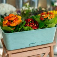 Балконный ящик Прованс 6лит Ментол 400*170*130мм с прикорневым поливом