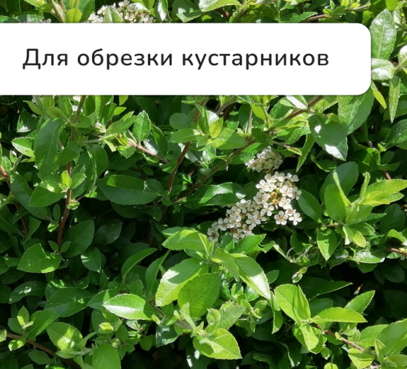 Сучкорез Greengo 370мм Арт-139651