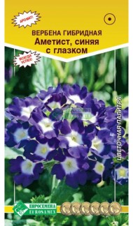 Цветы Вербена Аметист ЦВ/П (ЕС) 10шт однолетник 25-30см