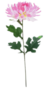 Георгин одиночный 60 см Арт-DN42169/168 Георгин одиночный 60 см Арт-DN42169/168