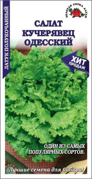 Салат Кучерявец одесский ЦВ/П (СОТКА) 0,5гр позднеспелый полукочанный