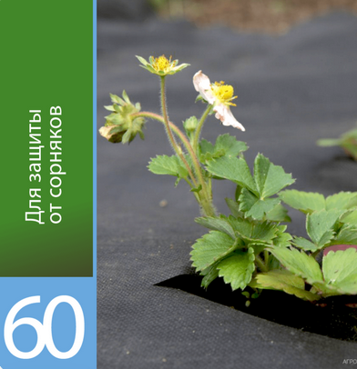 Рулон Агротекс Чёрный М-60 ширина 3,2м * 150метров