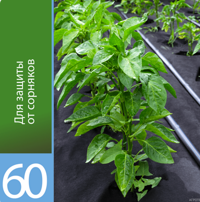 Рулон Агротекс Чёрный М-60 ширина 3,2м * 150метров