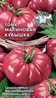 Томат Малиновая кубышка ЦВ/П (СЕДЕК) 0,1гр среднеспелый 75см