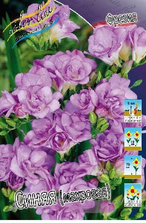 Фрезия махровая Синяя (1уп/10шт)