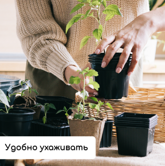 Набор для рассады Greengo стаканы 500мл*8шт поддон 40×20см Арт-1986222